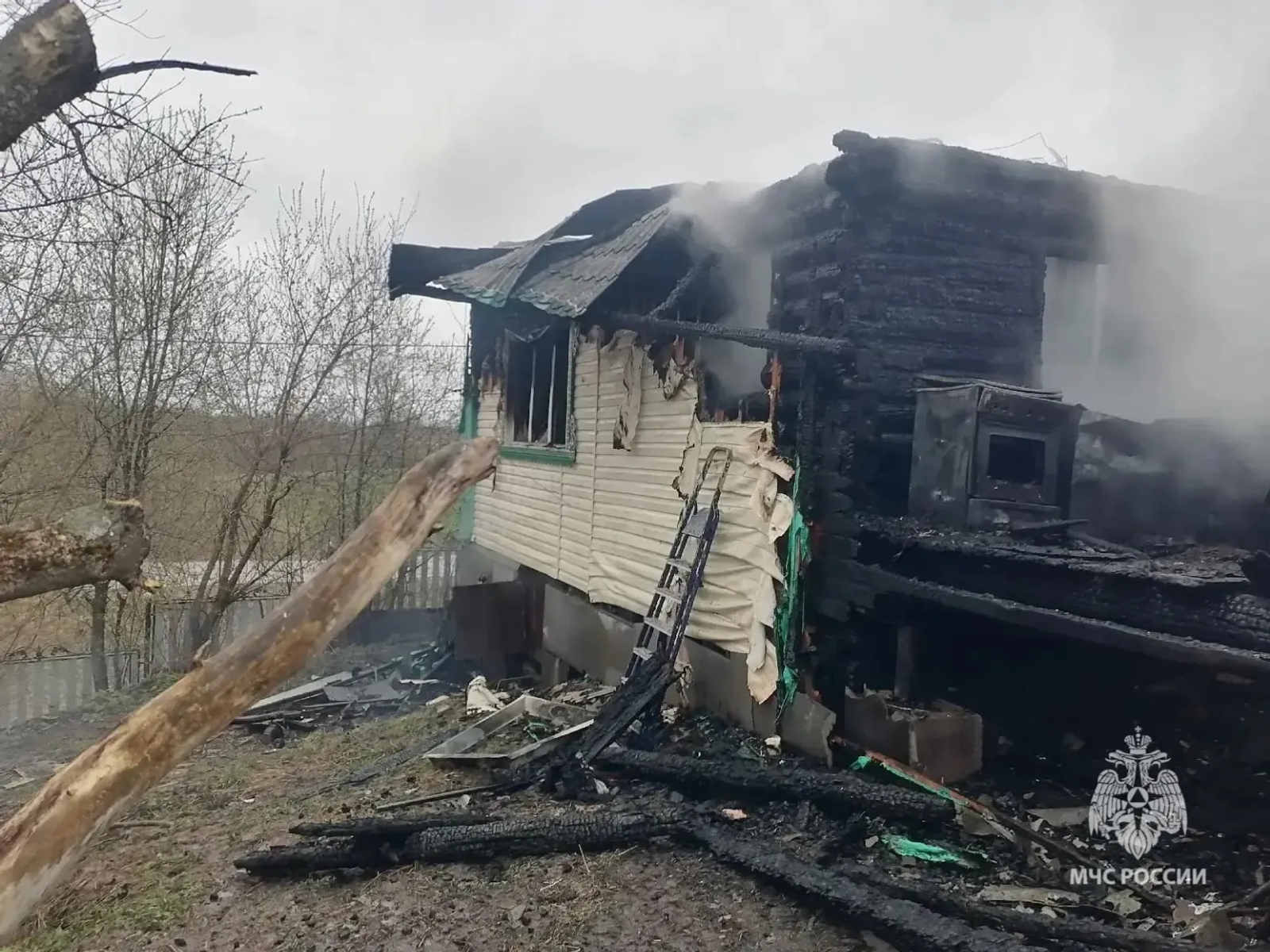 Әнисе дә, улы да...