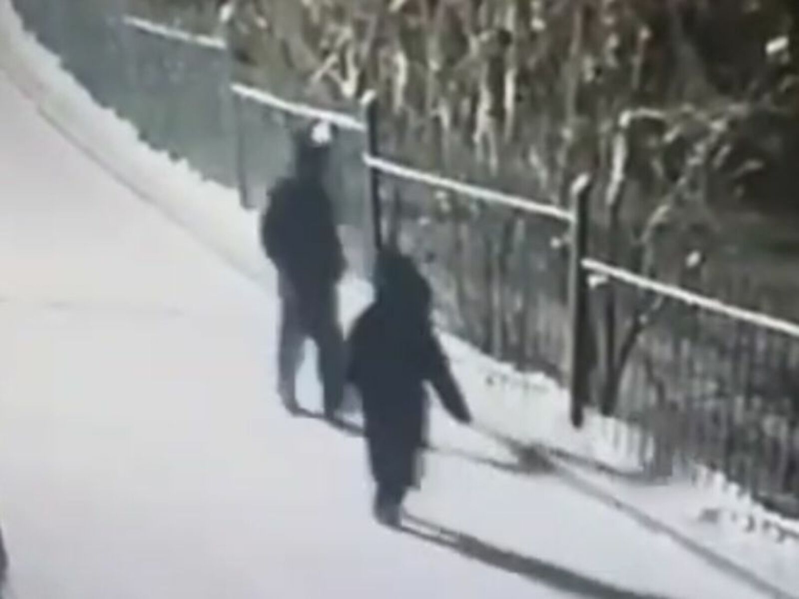 14 яшьлек үсмерне урлаганнар