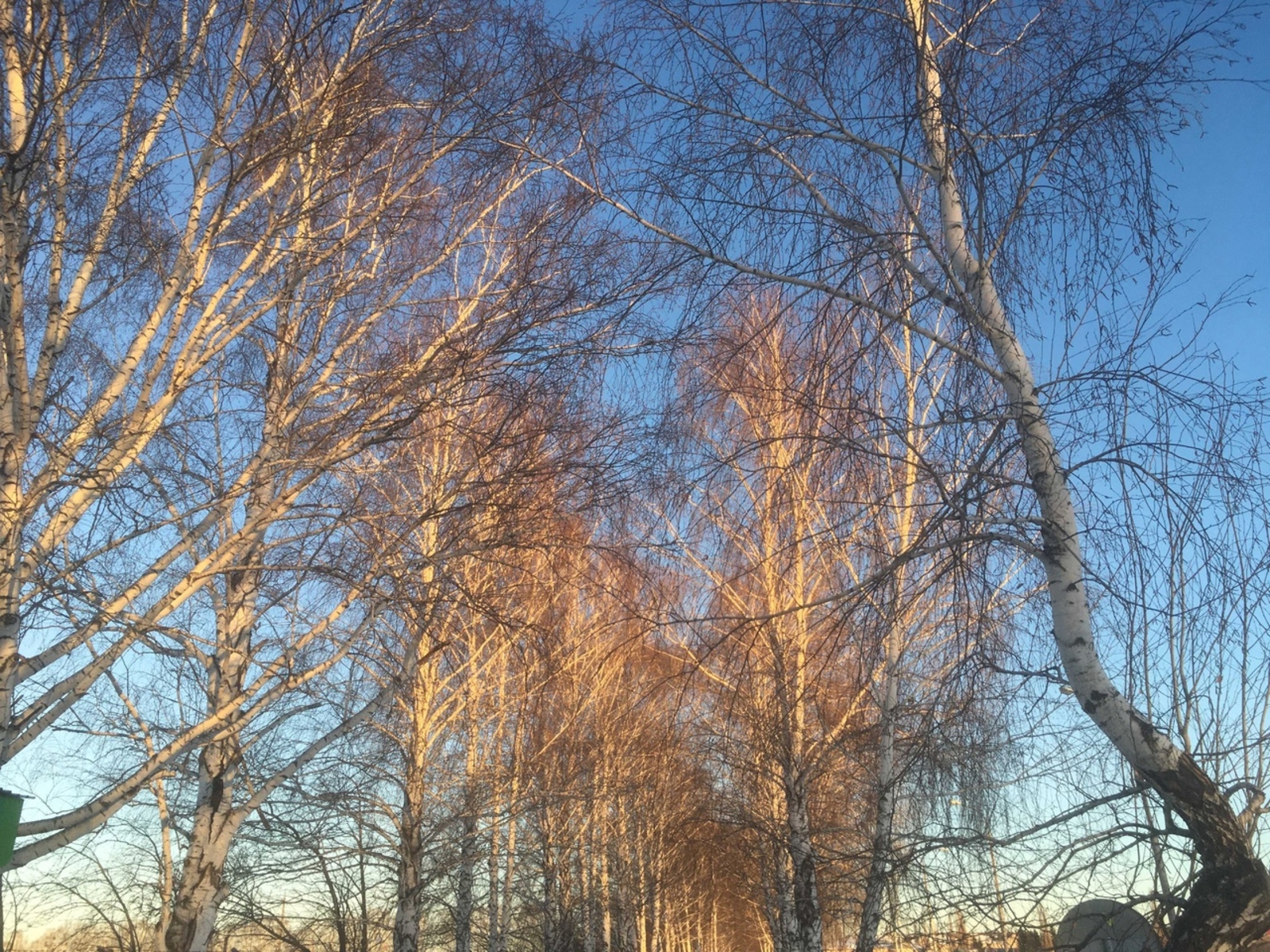 Әгәр җил җылы яктан иссә...