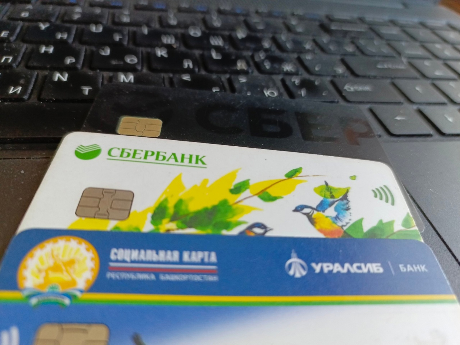 Картагызга ялгыш акча күчерсәләр...