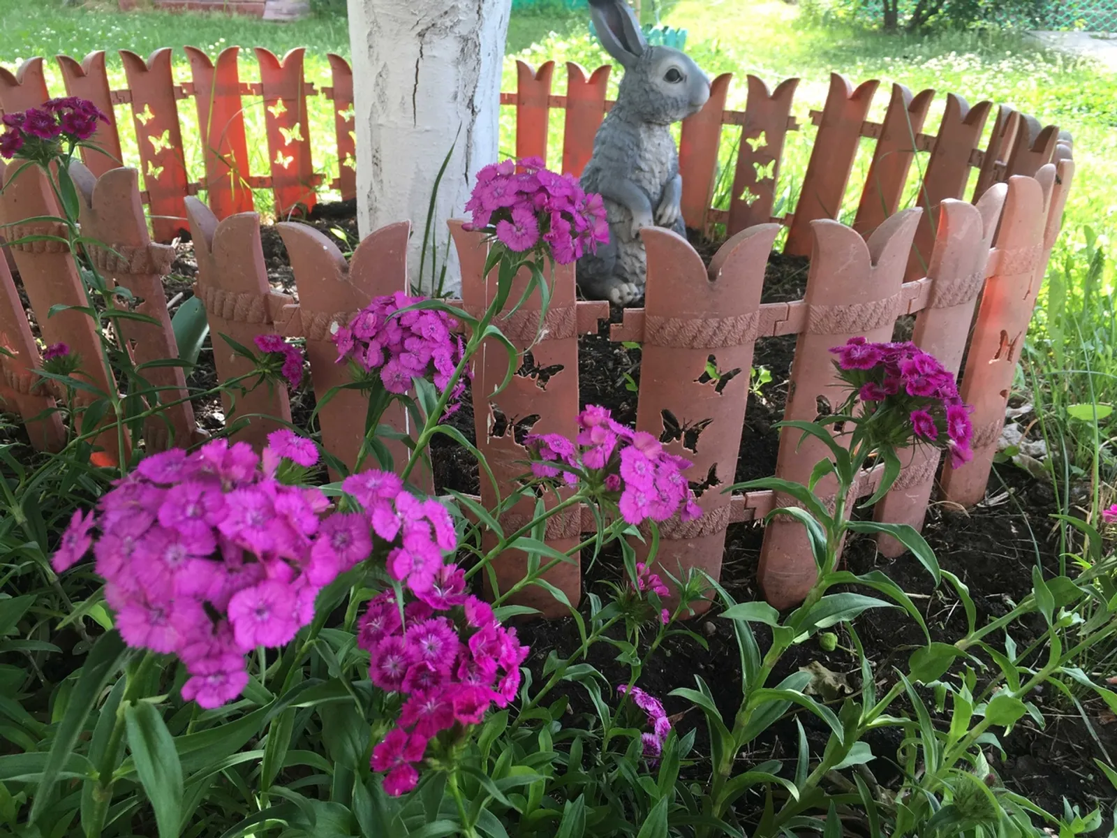 Ике көн кызынып калыгыз!