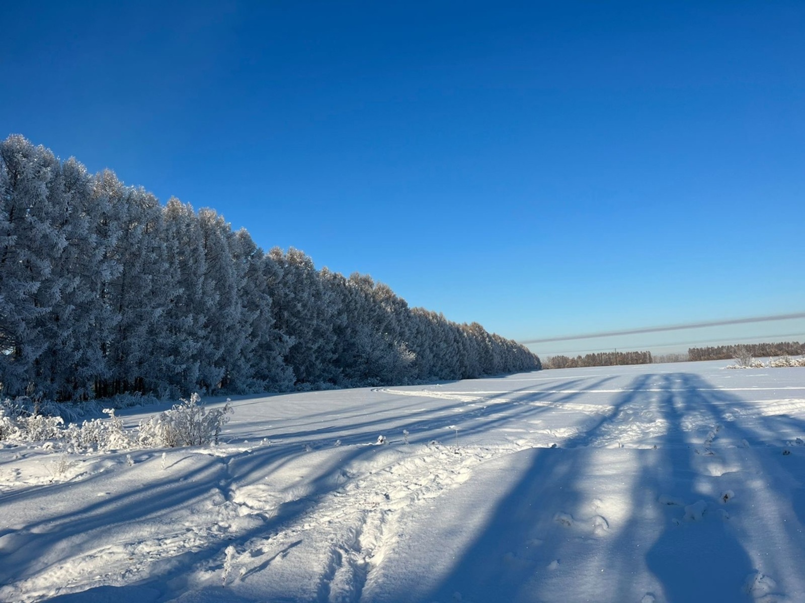 Ә сез көненә ничә адым атлыйсыз?