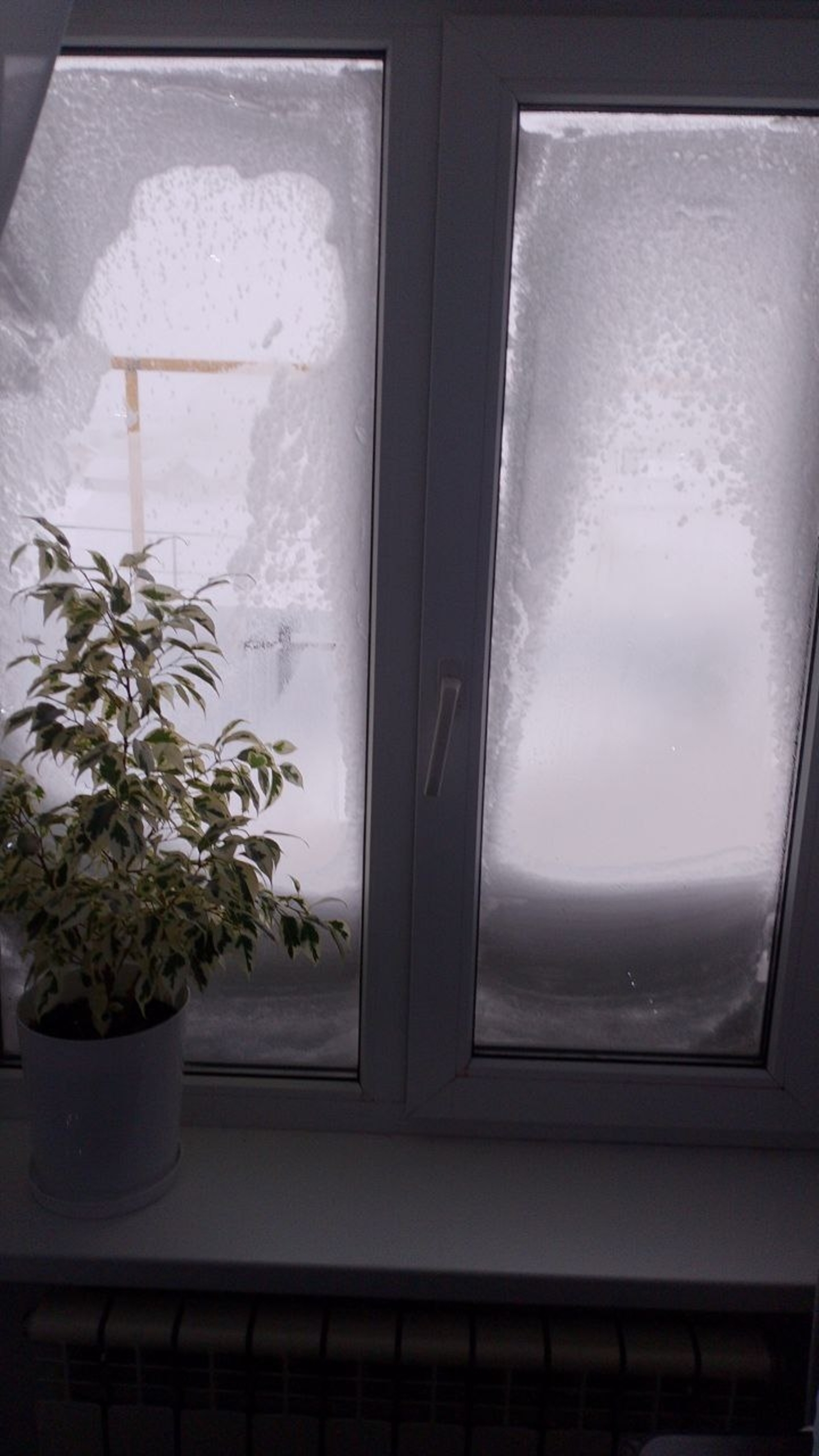 Ерак юлга чыкмагыз!