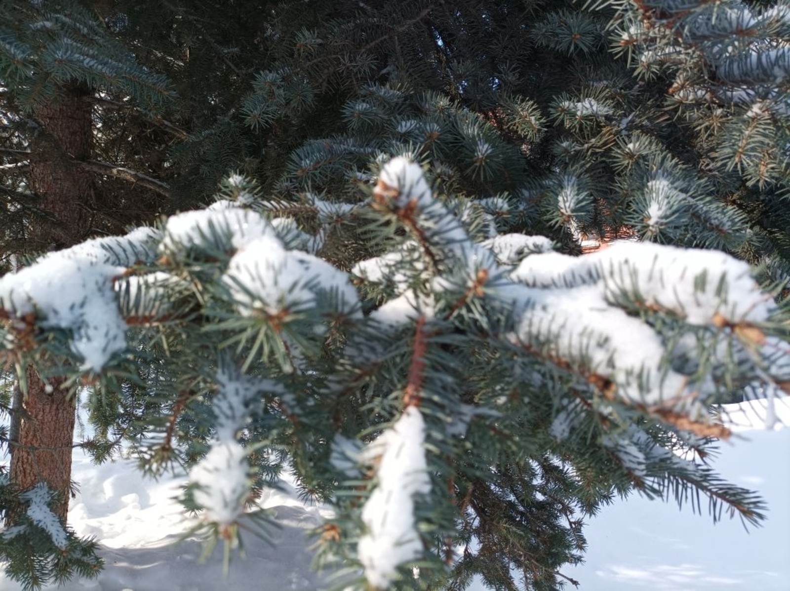 Карлар эри, су таша...