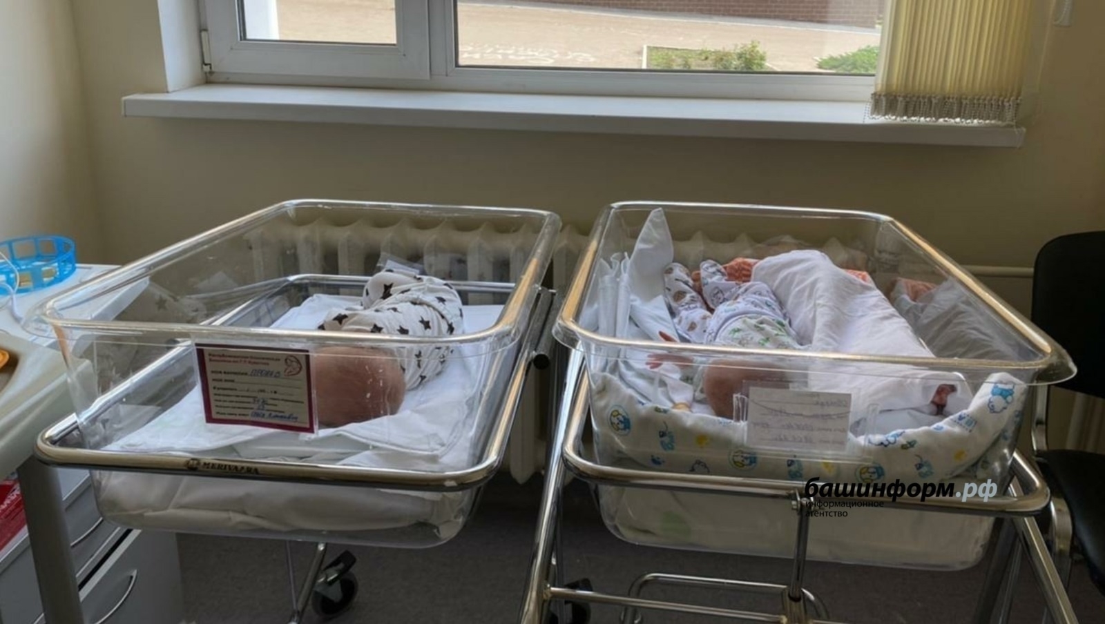 Ике пар игезәк – бик сирәк күренеш!