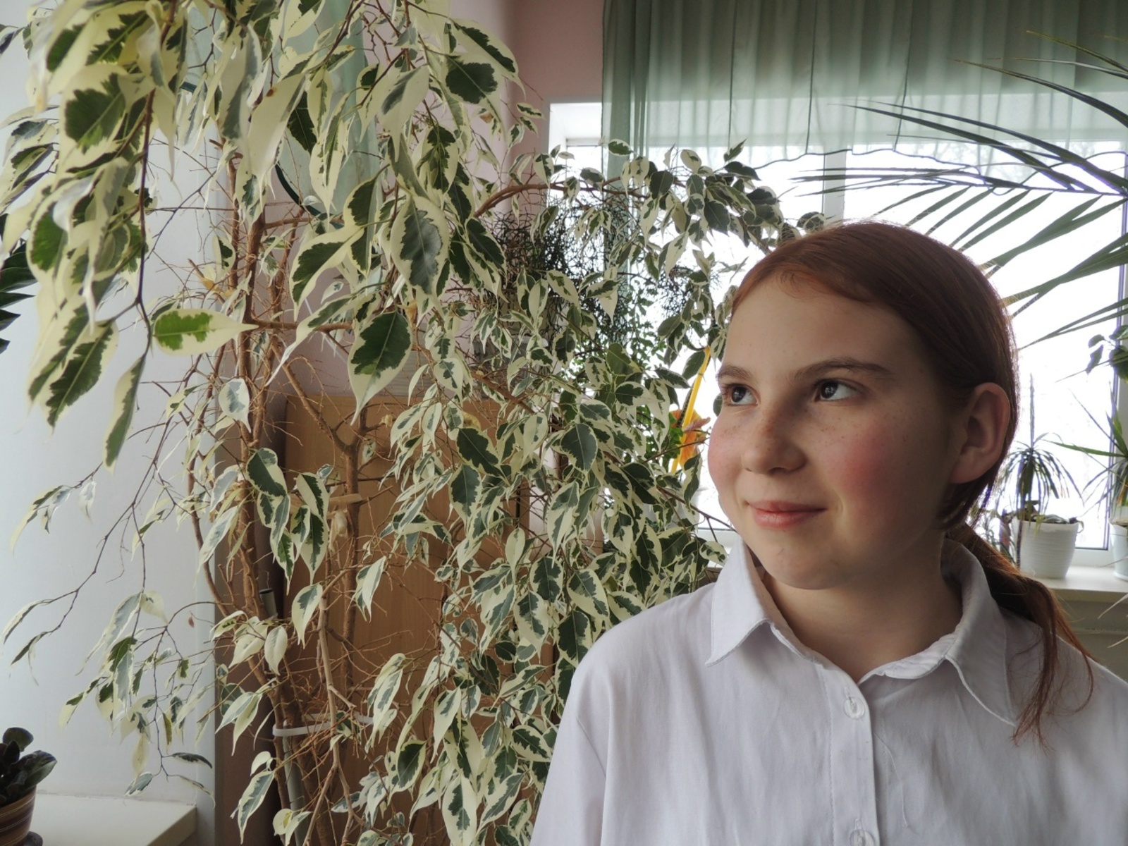 Даринага әти-әни кирәк!