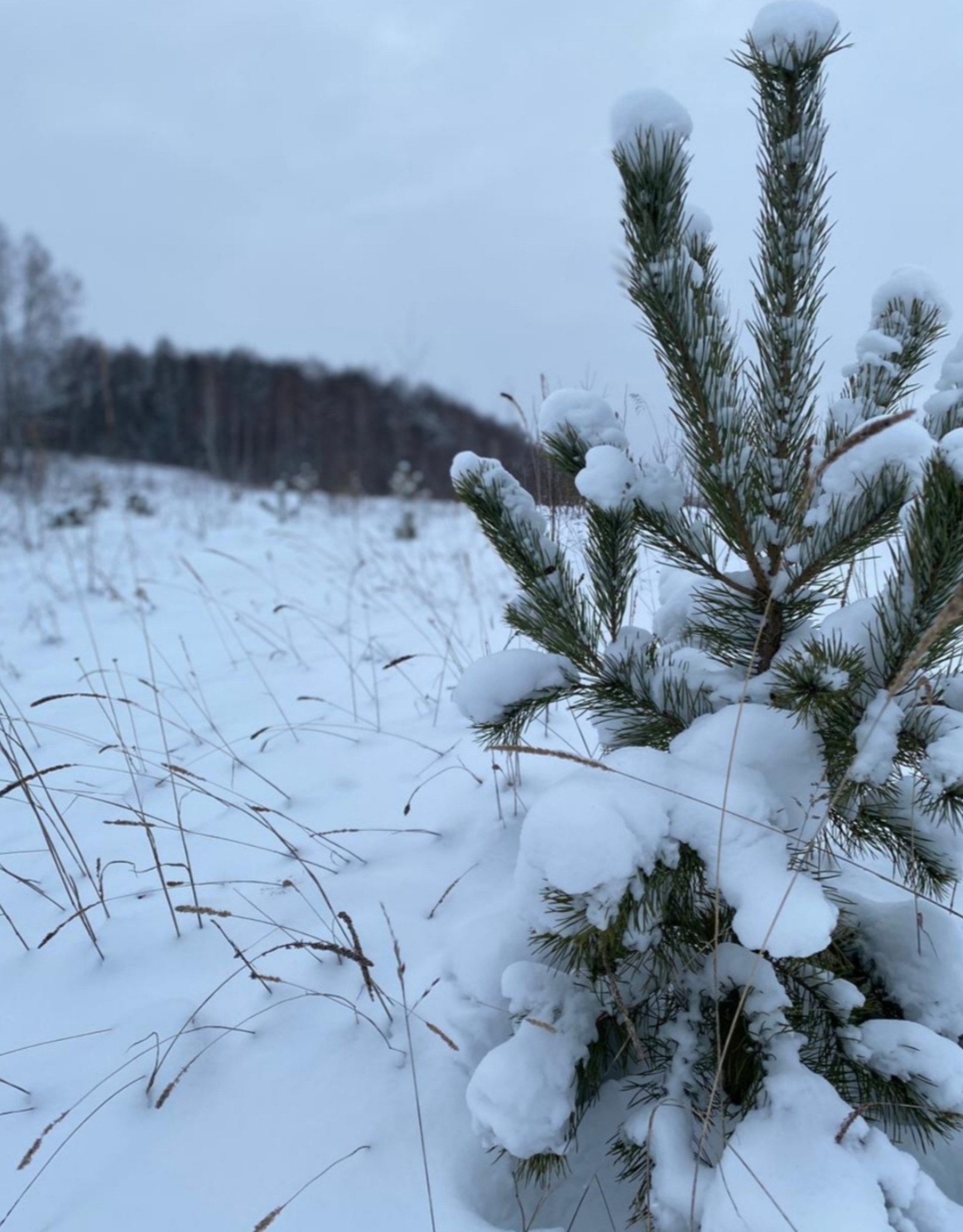 Урамга җылы киенеп чыгыгыз!