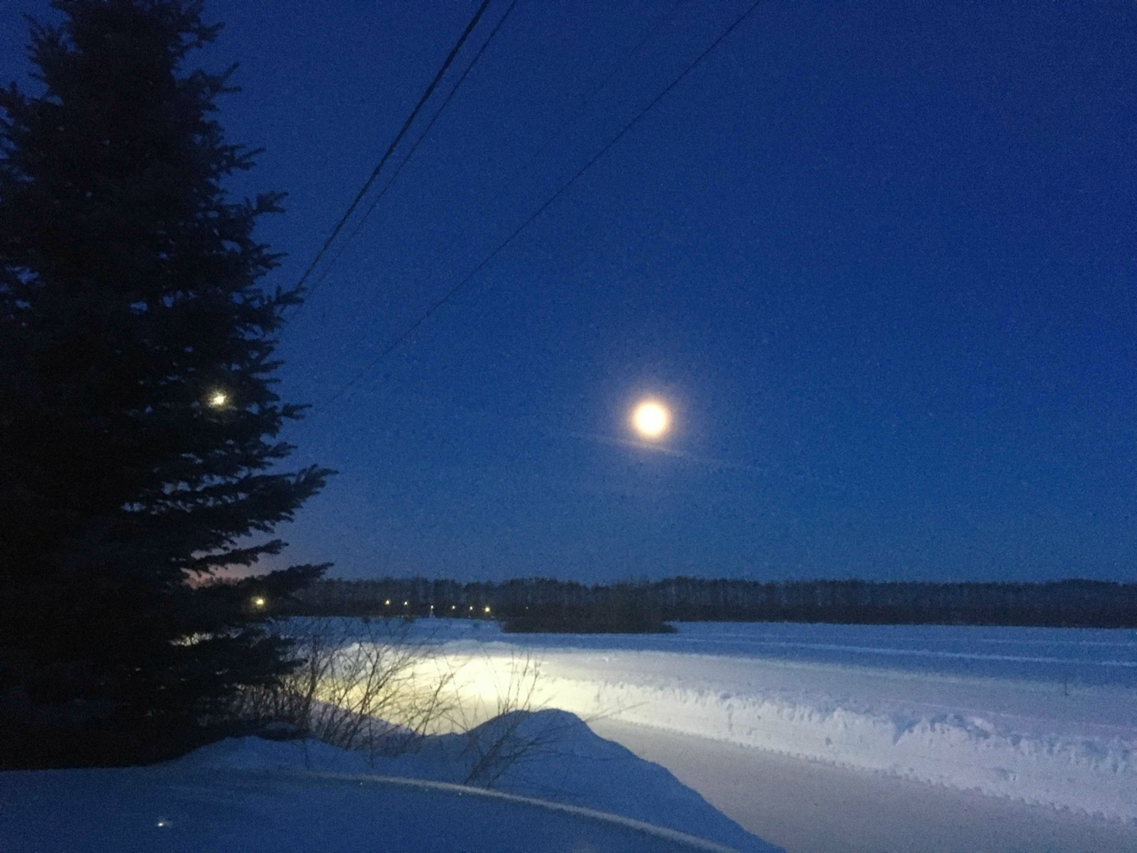 “Канлы” тулган Айны күрми калмагыз!