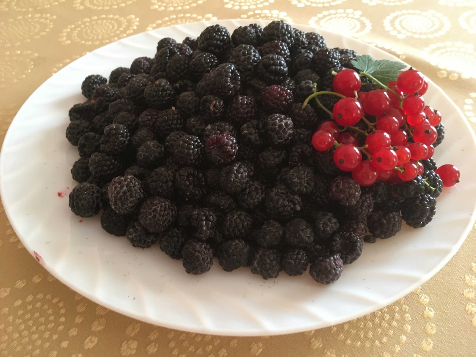 Көрән төстәге җиләк-җимеш файдалырак