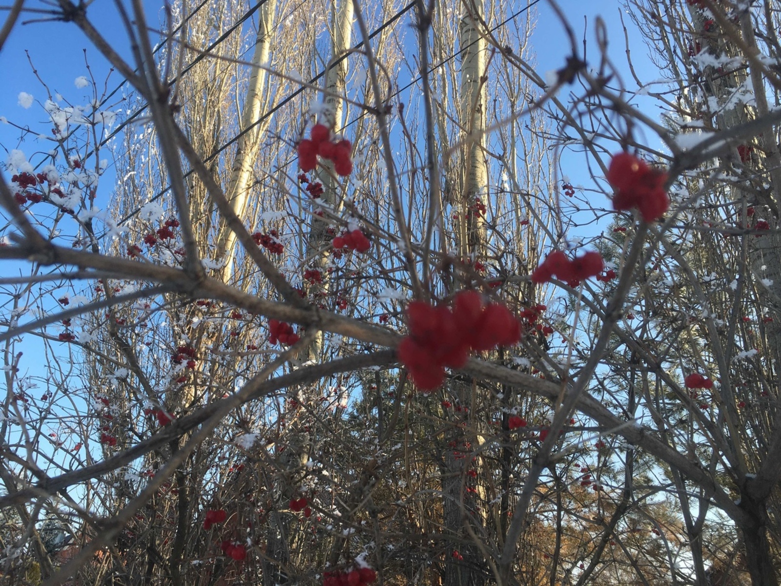 Көннәр кайчан җылыта?