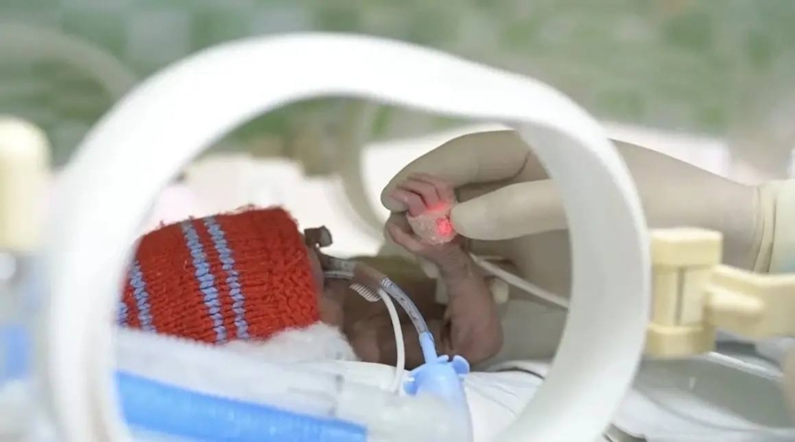 Учка гына сыярлык...