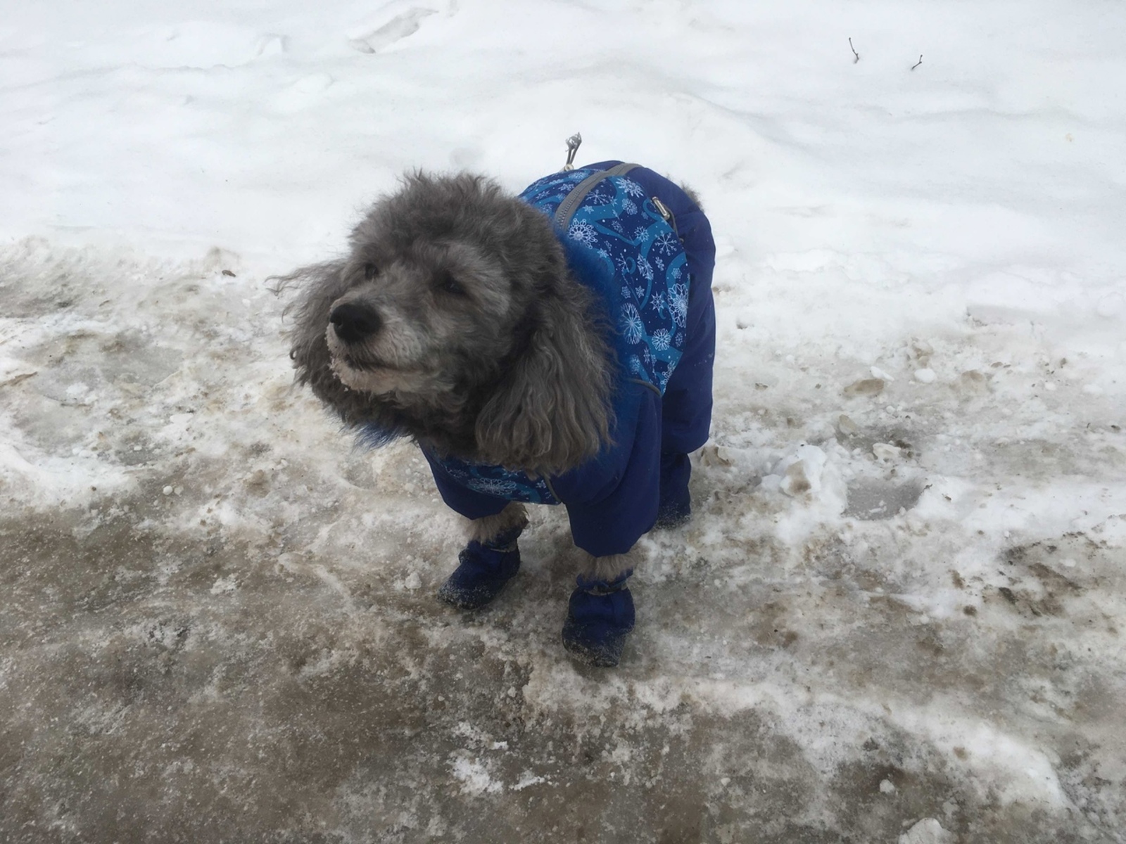 Баш киемен салырга ашыкмагыз...