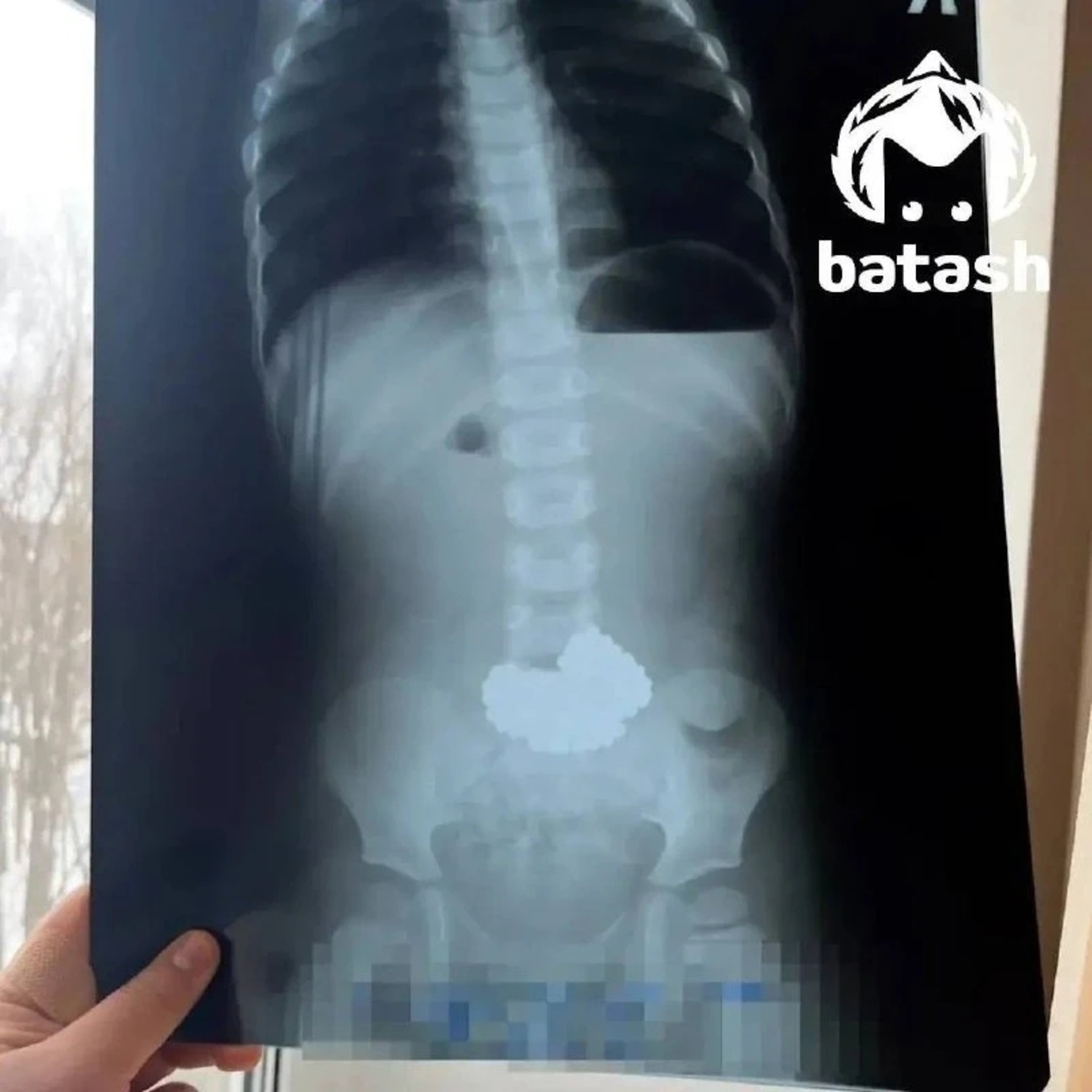 206 (!) магнит шары йоткан