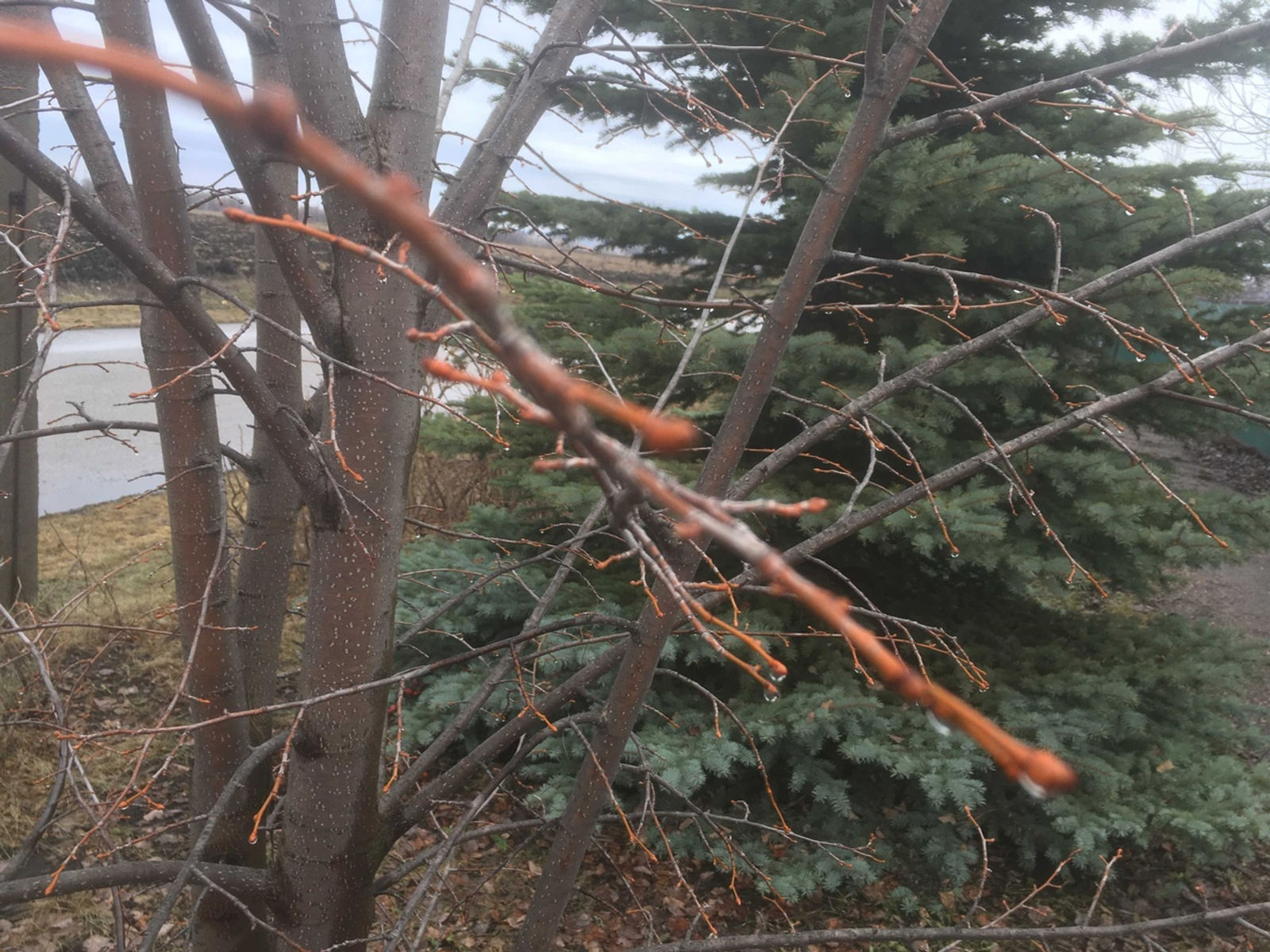 -6 градуска кадәр суыта!