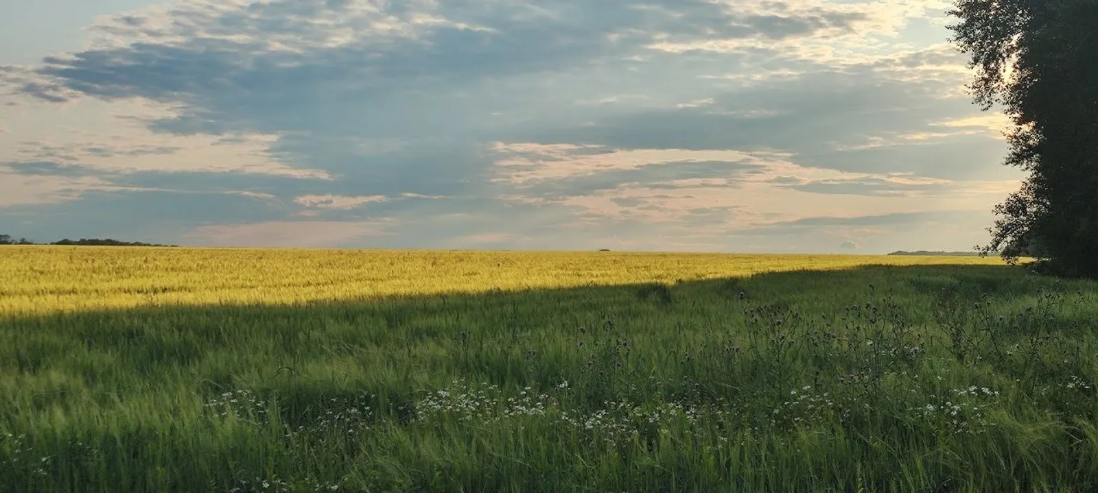 Черкиләр кемнәрне аеруча ярата?
