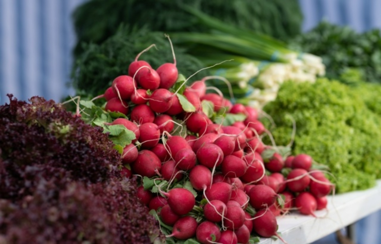 Язын иң файдалы яшелчәләрне беләсезме?