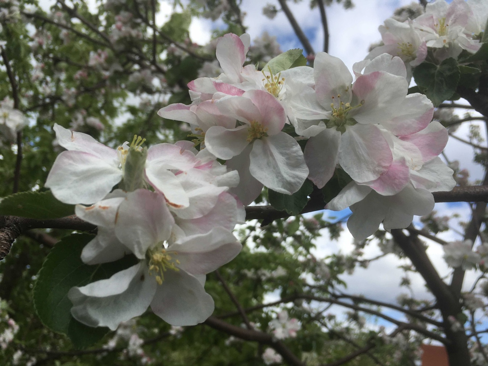 Җылы көннәрне кайчан көтәргә?