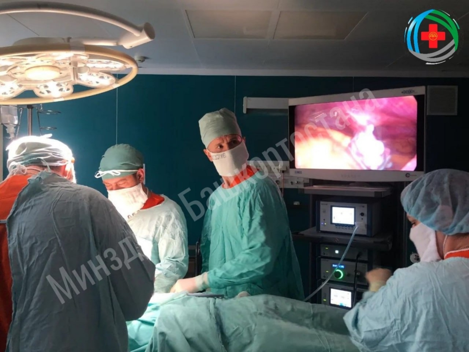 Кабыргасында шеш үскән