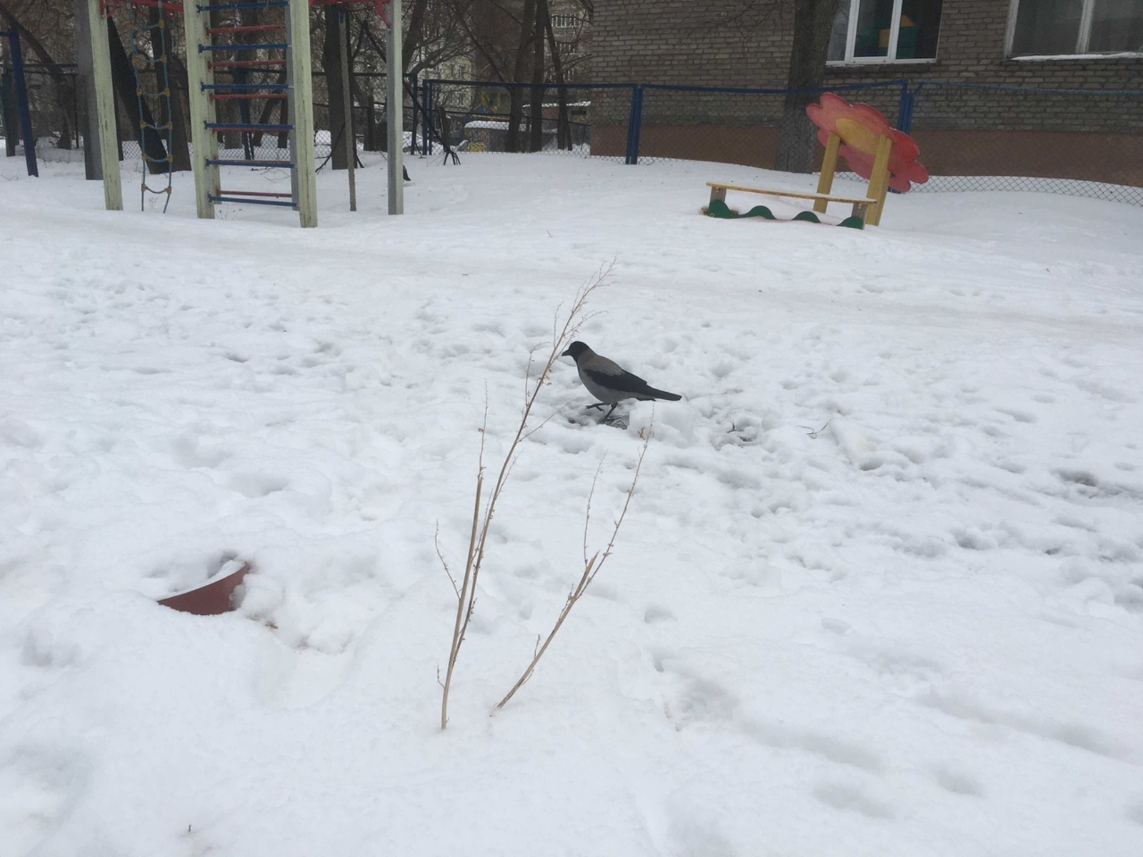 Җәй яңгырлы булырмы?