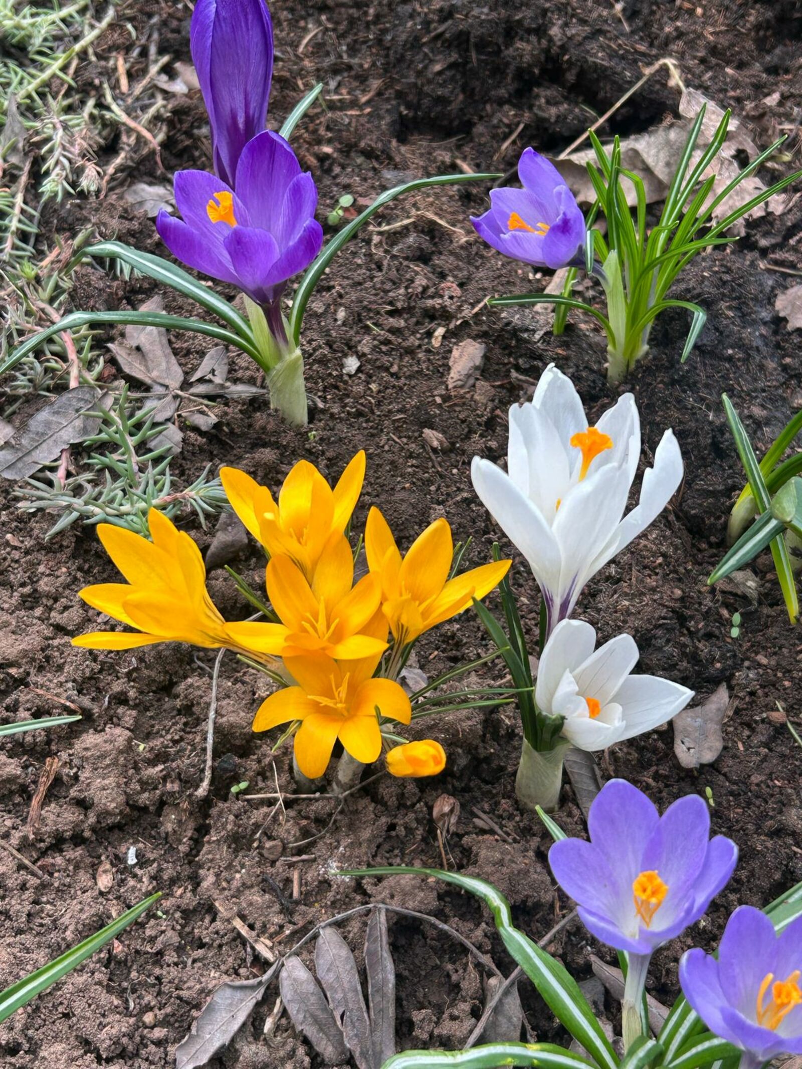 Апрель җәй кебек булачак