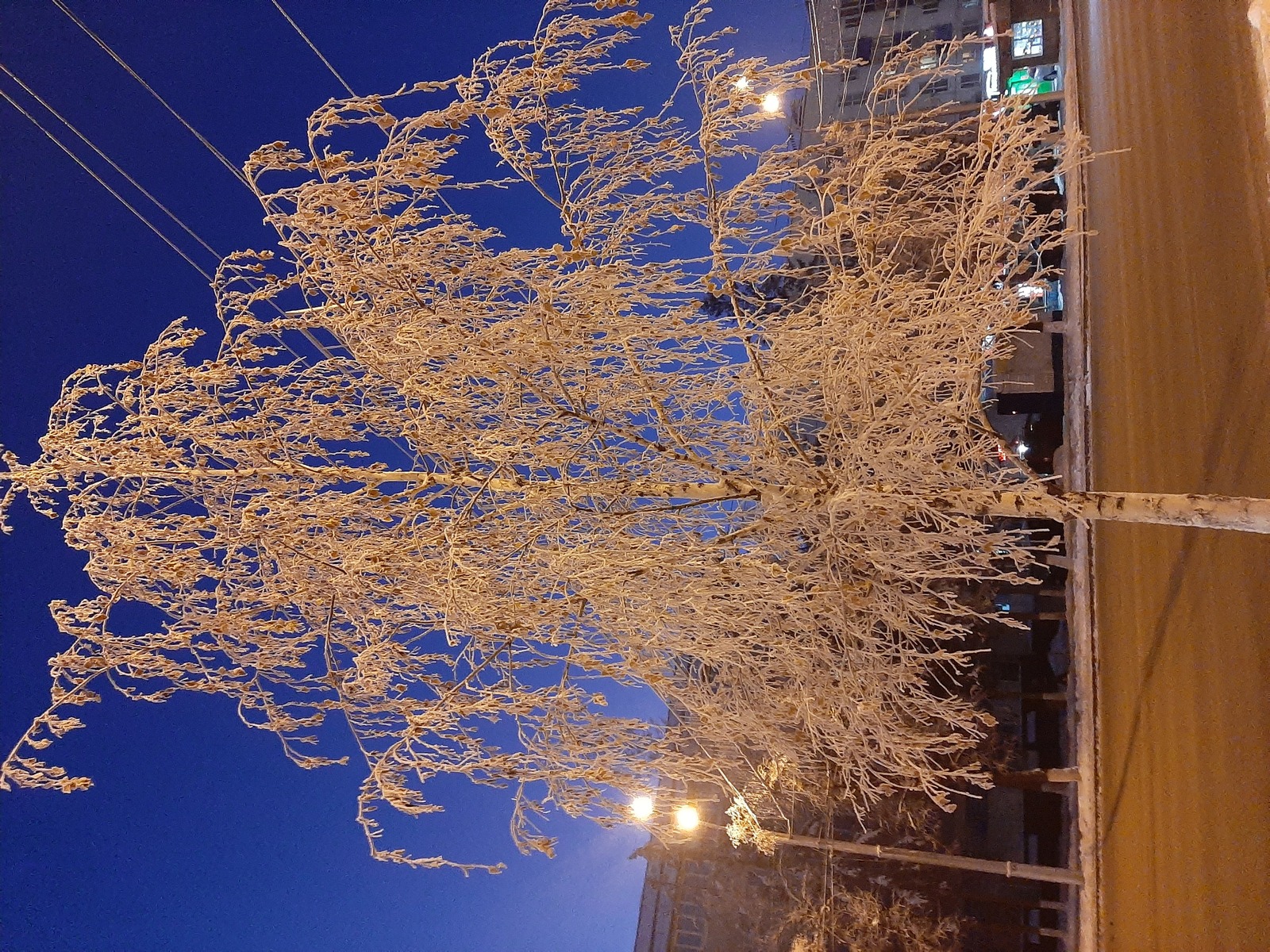 Бүген көн аяз һәм җылы булса...