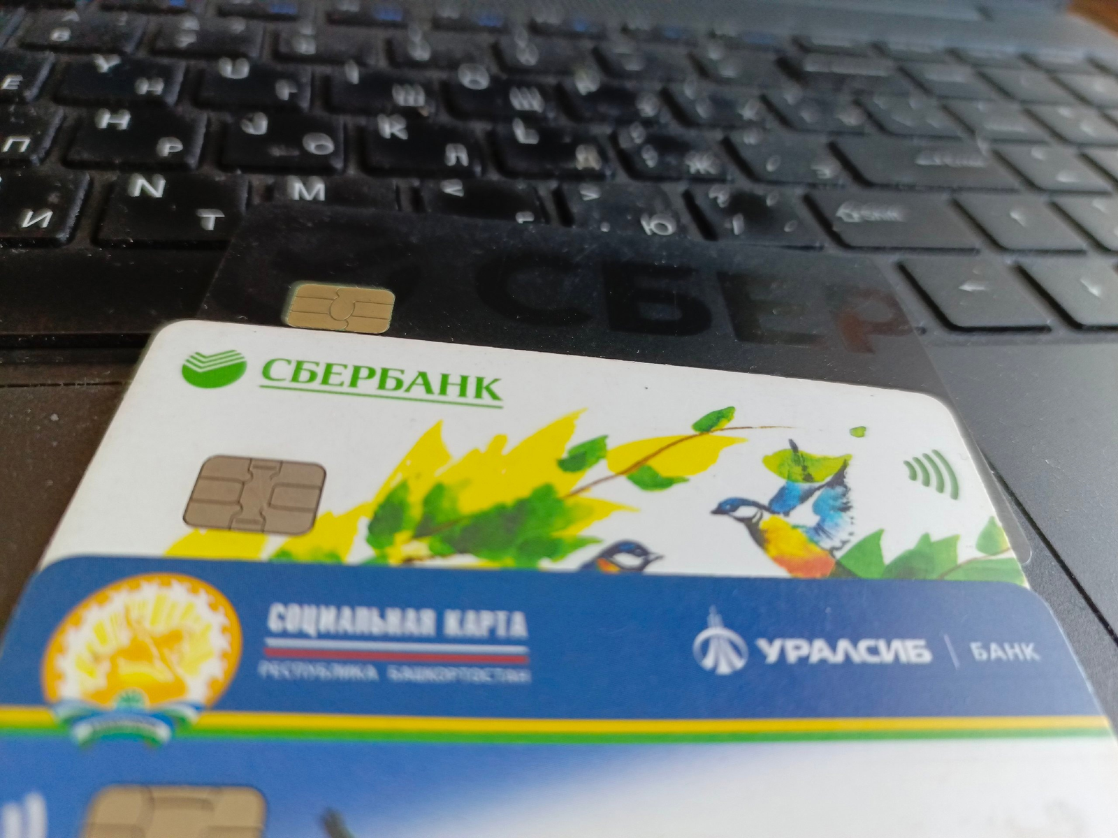 Чит кешенең банк картасын куллансаң...