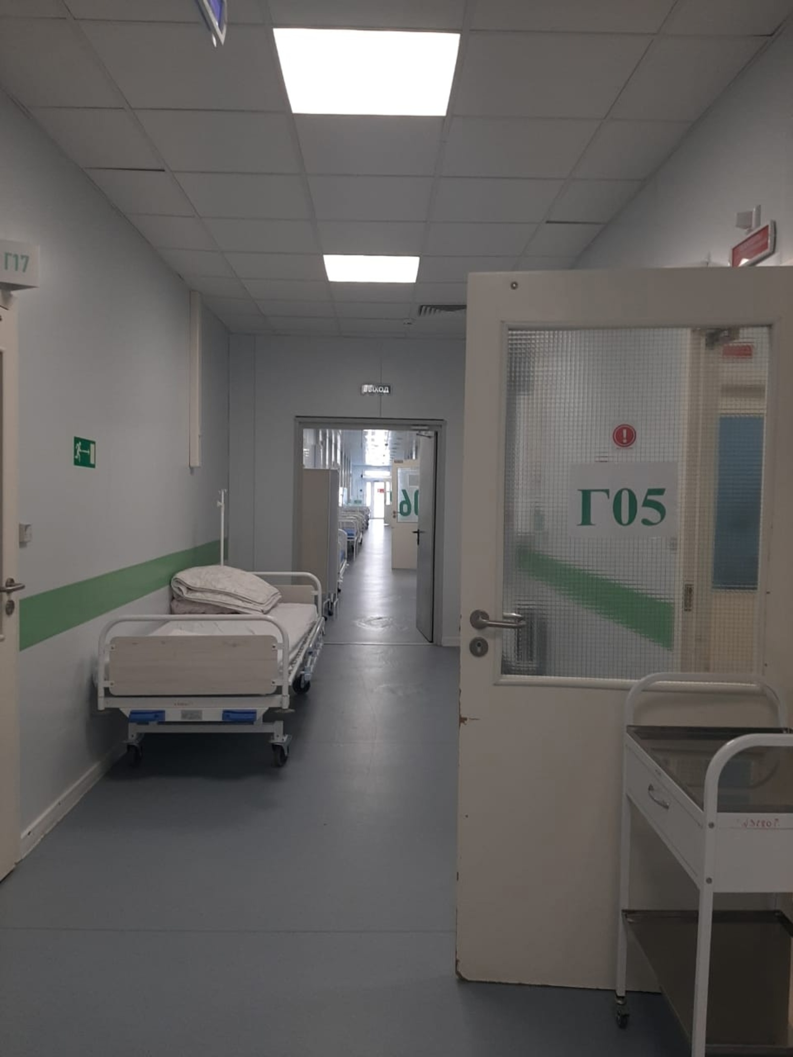 Нипах вирусы: ничек сакланырга?