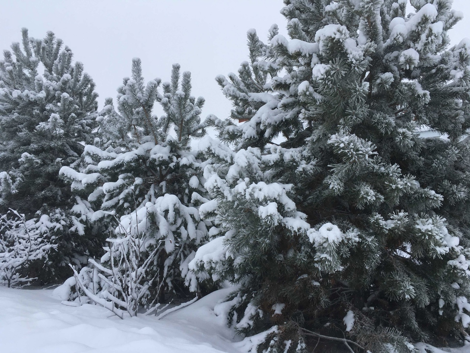 Февраль бураннарга бай булырмы?