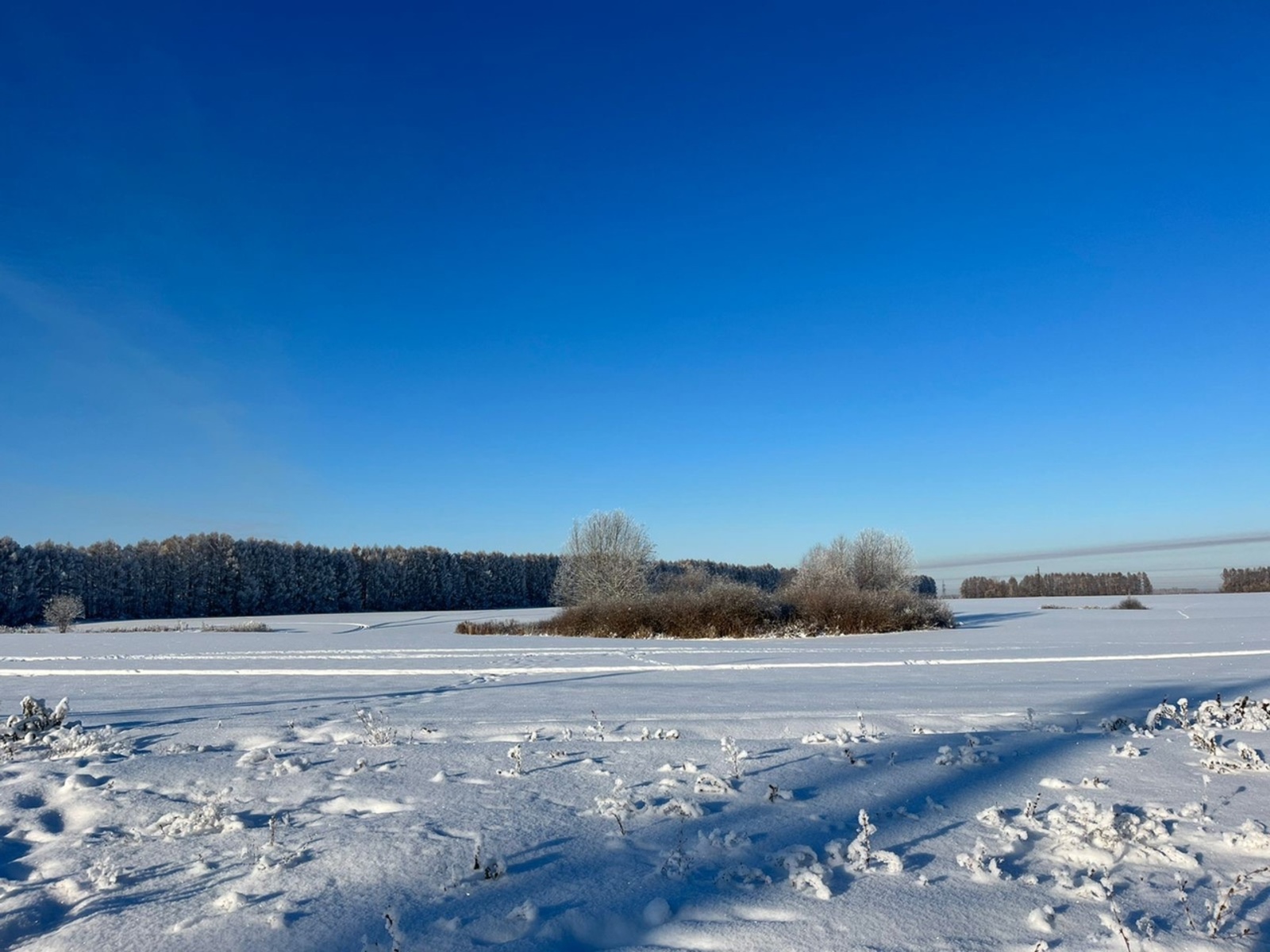 Зәмһәрир салкыннар киләчәк