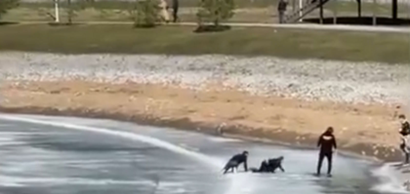 Исерек балыкчыны коткарам дип...