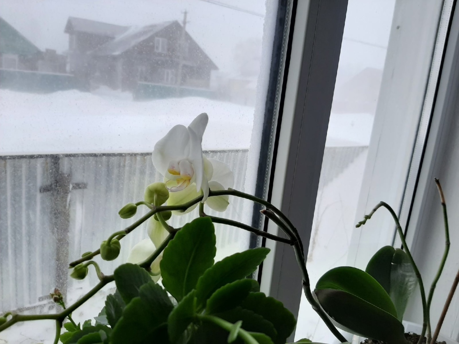 Әгәр кар яуса...