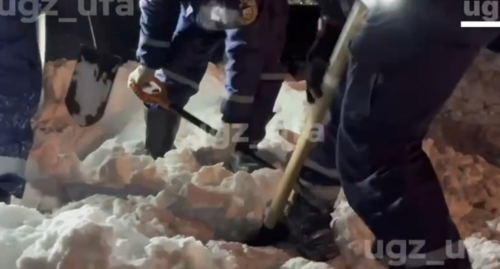 Оныгын бакчадан алырга ашыккан