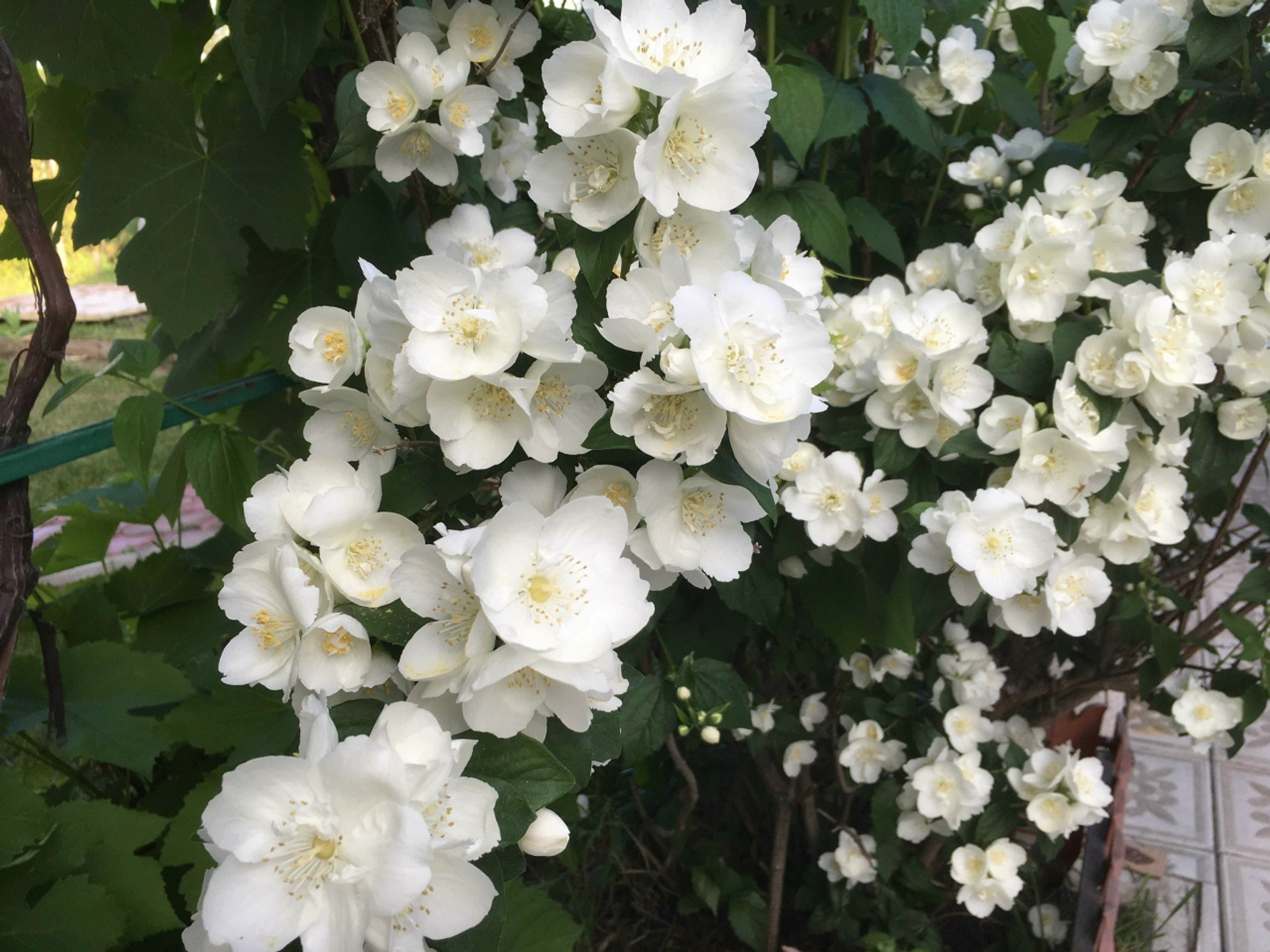 Тиздән җылыта!