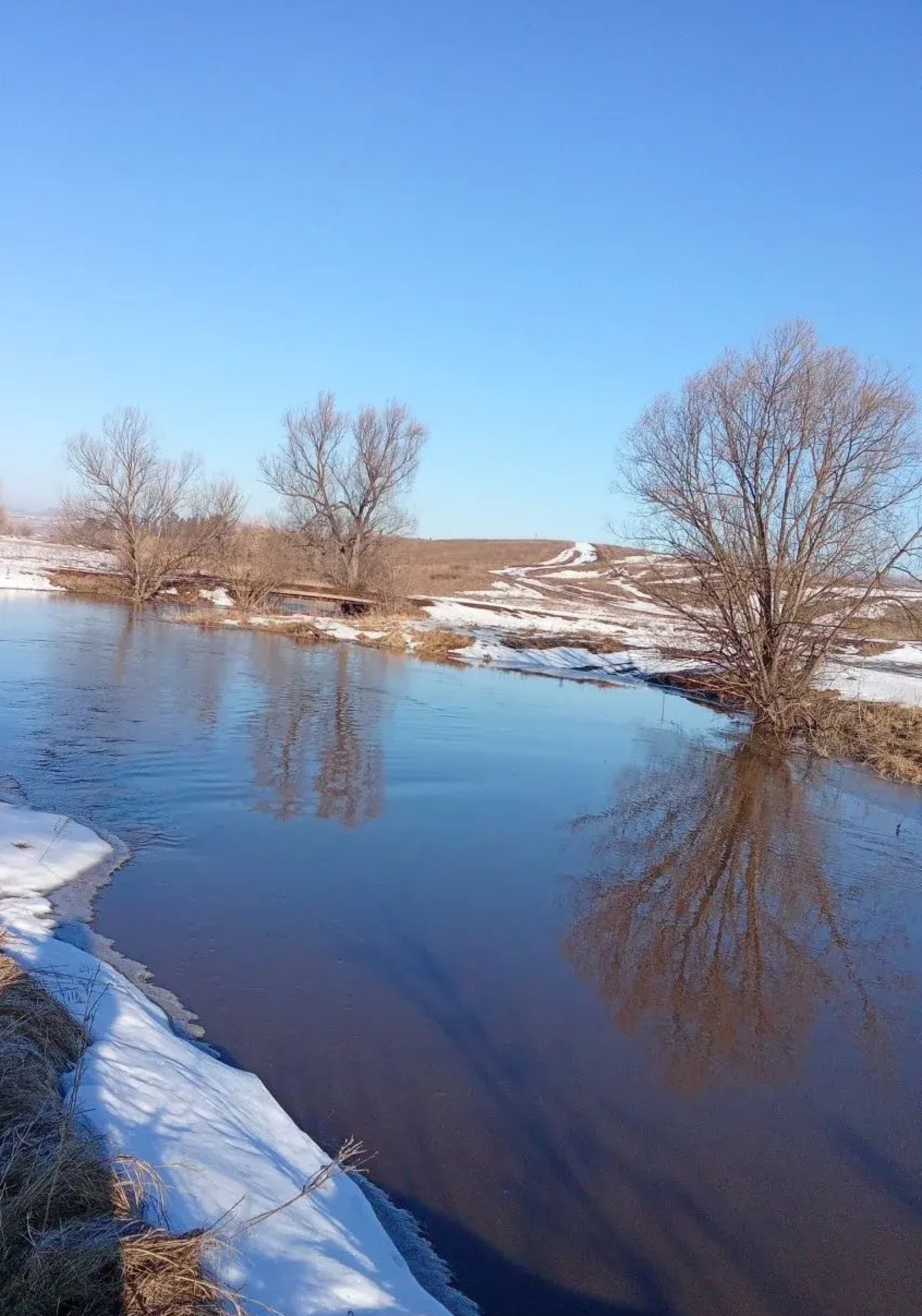 Әгәр 1 апрельдә көн кояшлы булса...