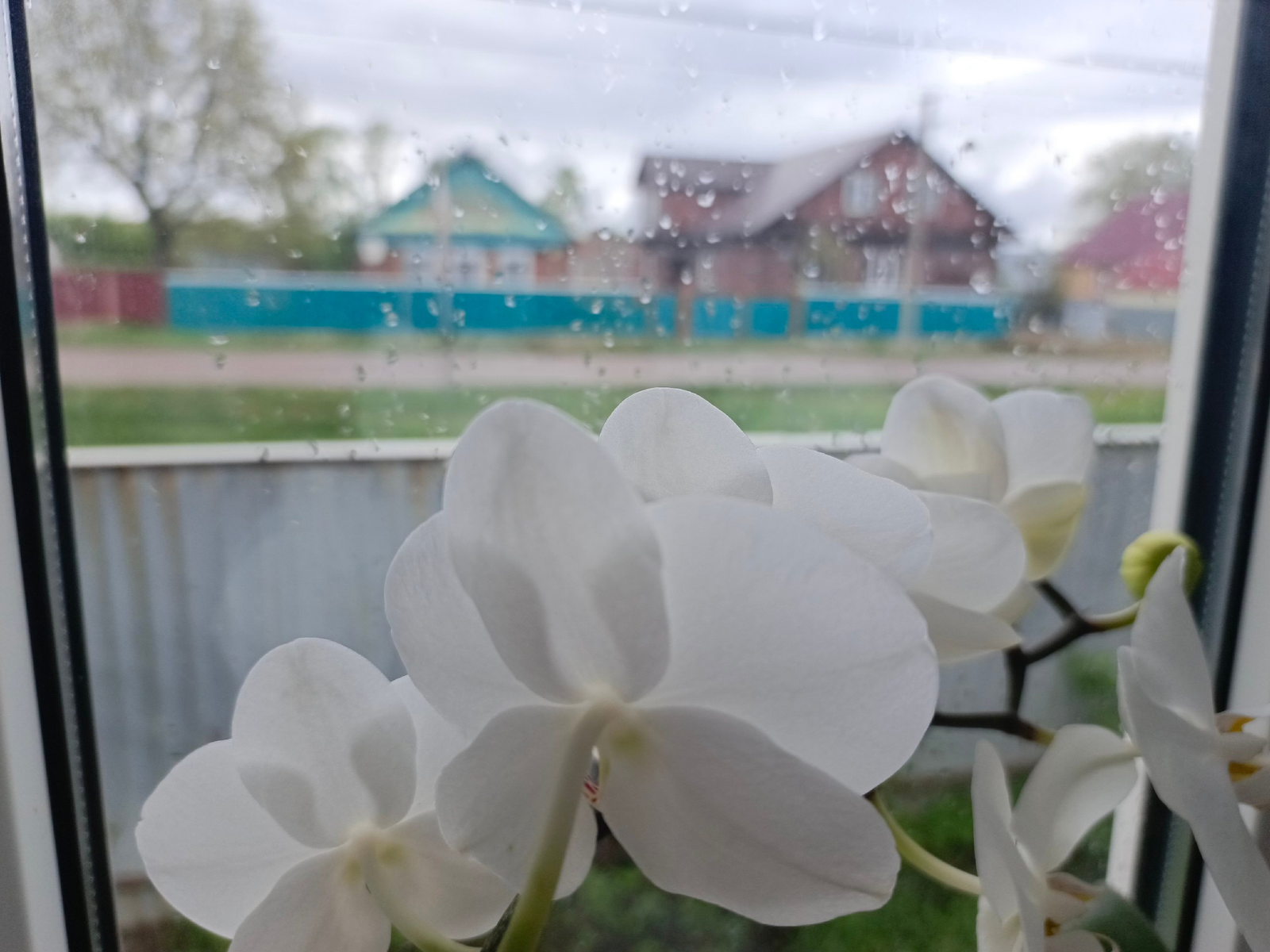 Яңгырлар озаккамы?